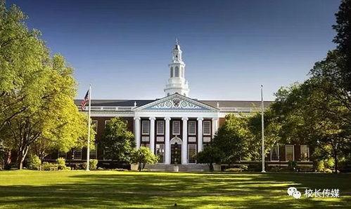 哈弗大学视频,视频内容深度解析