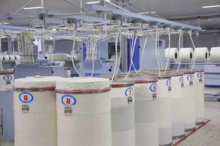 纺织视频,视频带你领略纺织魅力